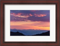 Framed Mammoth And Ancient Bristlecone