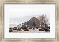 Framed Colorado Barn