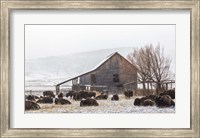 Framed Colorado Barn