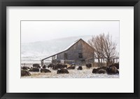 Framed Colorado Barn