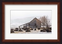 Framed Colorado Barn