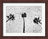Framed Rainy Daze