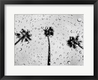 Framed Rainy Daze