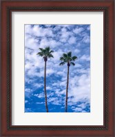 Framed Palms & Blue Skies