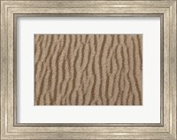 Framed Sand Patterns