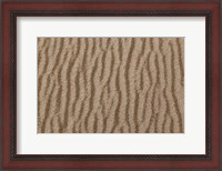 Framed Sand Patterns