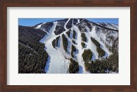 Framed Ski Trail