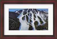 Framed Ski Trail