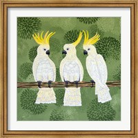Framed Cockatoo Trio