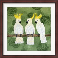 Framed Cockatoo Trio