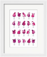 Framed Pink Bird