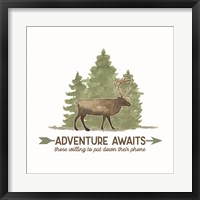 Framed Lost in Woods II-Adventure Awaits