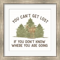 Framed Lost in Woods III-Can't Get Lost