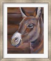 Framed Barn Donkey