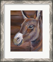 Framed Barn Donkey