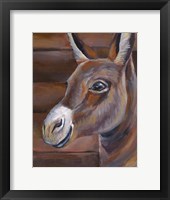 Barn Donkey Framed Print