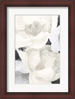 Framed White Flowers on Black