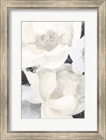 Framed White Flowers on Black