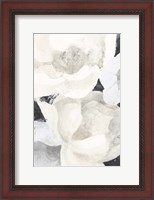 Framed White Flowers on Black