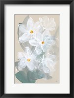 Narcissus II Framed Print