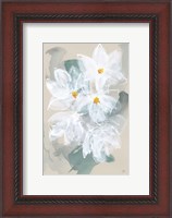 Framed Narcissus I
