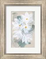 Framed Narcissus I