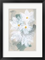 Narcissus I Framed Print