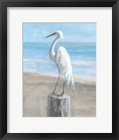 Egret by the Sea Framed Print