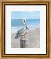 Framed Pelican by the Sea