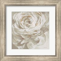 Framed Neutral Rose