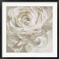 Framed Neutral Rose