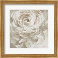 Framed Neutral Rose
