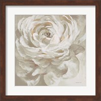 Framed Neutral Rose