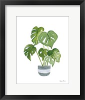 Framed Green House Plants II