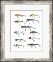 Framed Fresh Catch IV