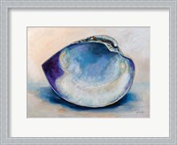 Framed Quahog Shell