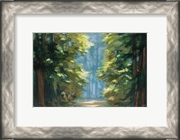 Framed Sunlit Forest Blue Crop