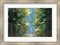 Framed Sunlit Forest Blue Crop