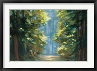 Framed Sunlit Forest Blue Crop