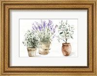 Framed Farmhouse Still Life