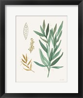 Leaf and Stem IV Framed Print