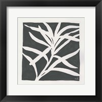 Framed Growing Gray