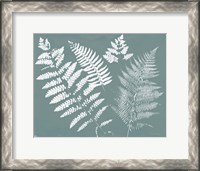 Framed Nature by the Lake Ferns II Gray Mist Crop