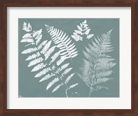Framed Nature by the Lake Ferns II Gray Mist Crop