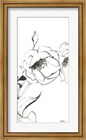 Framed Sketch of Roses Panel III