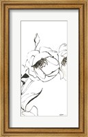 Framed Sketch of Roses Panel III