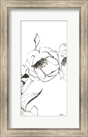 Framed Sketch of Roses Panel III