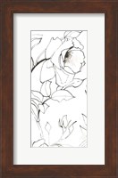 Framed Sketch of Roses Panel II