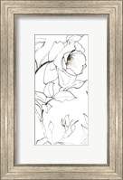 Framed Sketch of Roses Panel II