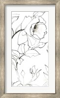 Framed Sketch of Roses Panel II